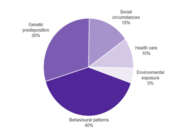 Determinants of premature mortality and their contribution